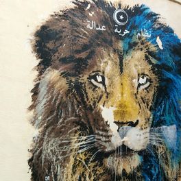 Djerbahood Street Art